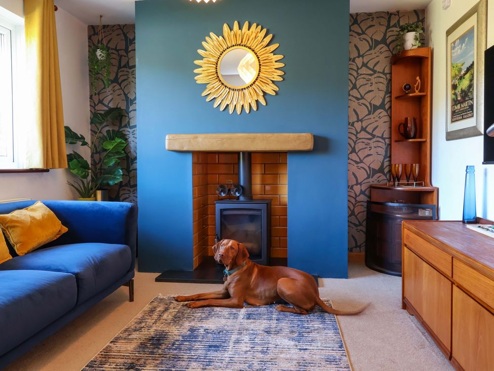 A living room with a fireplace and a dog at Hillsview in Combe Martin