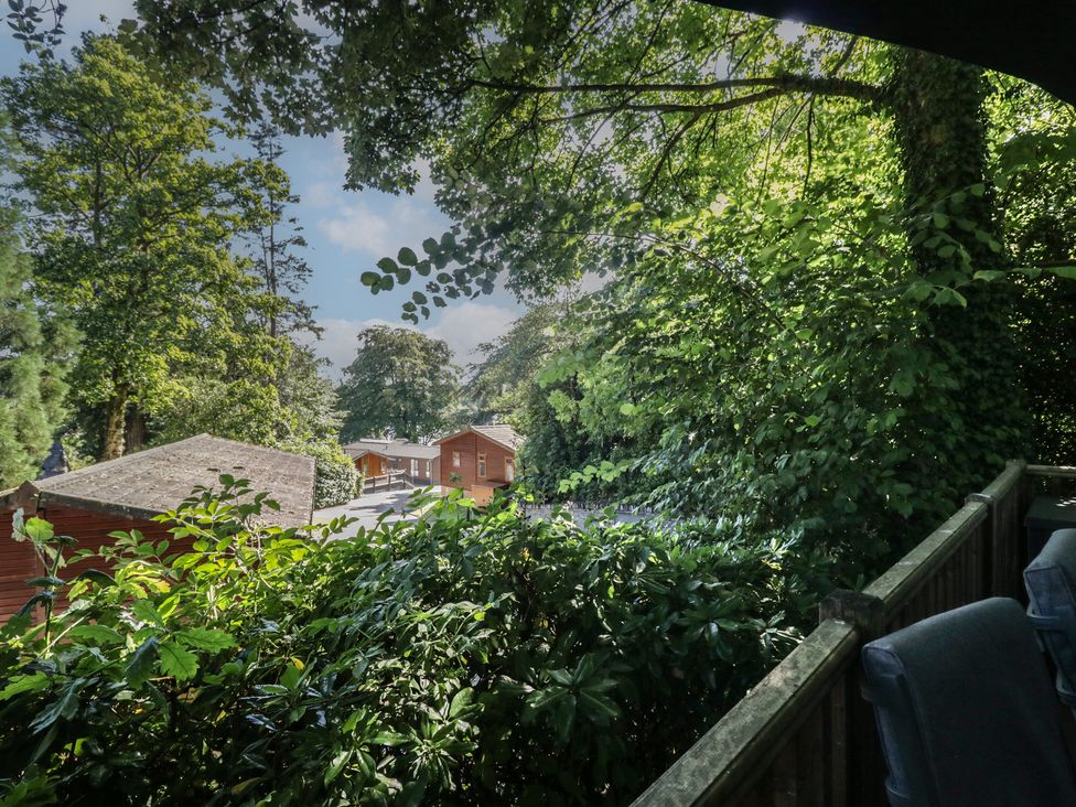A view of wooden cabins and greenery at Treetops, Beech Hill 13, Fallbarrow Park near Bowness-On-Windermere