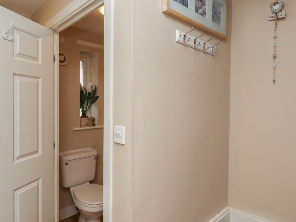 A bathroom with a toilet and a plant at Ahoy in Seahouses