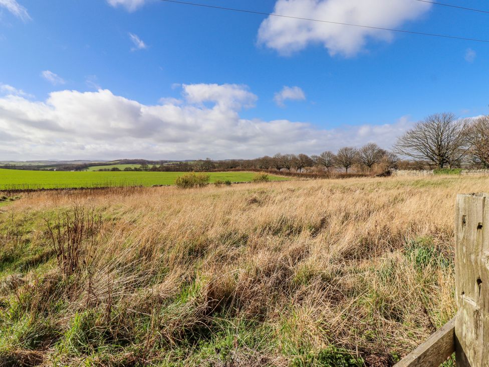 A field with grass and trees at No9 Budle Sands in Bamburgh