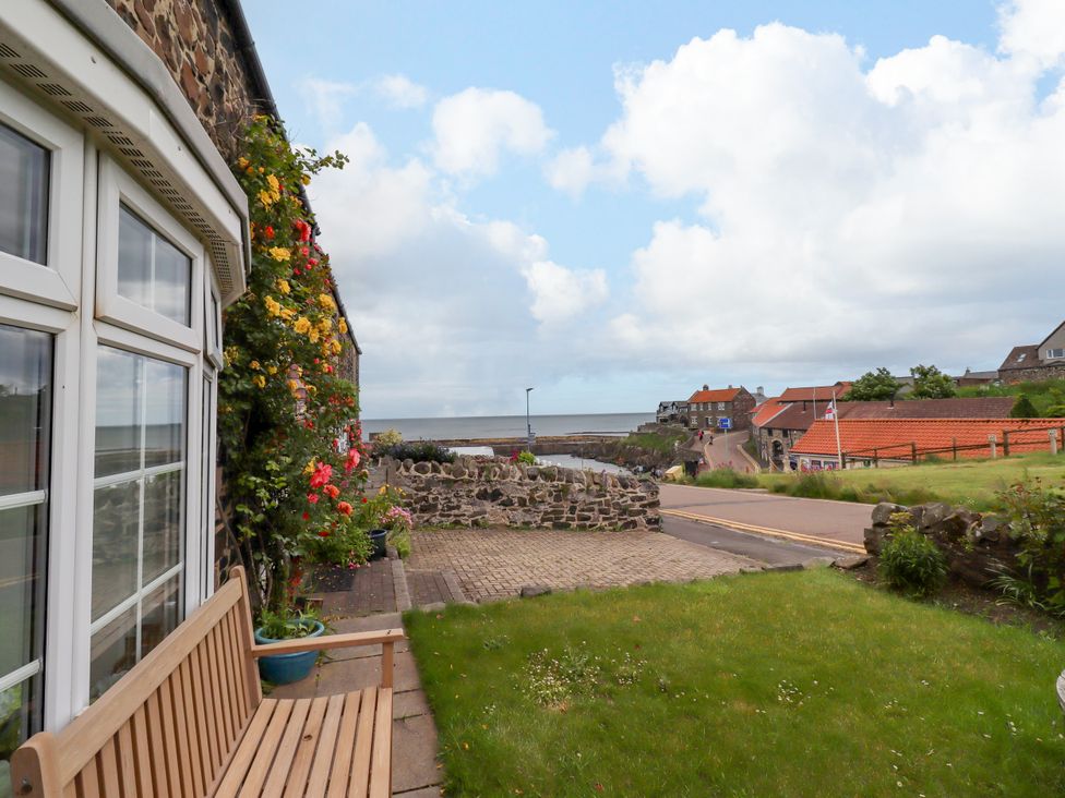 A view of a garden with a bench and flowers at Coble Cottage in Craster
