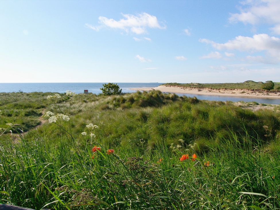 A landscape with grass, flowers, water, and sand at Percy Cottages No4 in Alnmouth