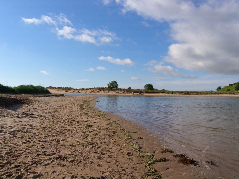 A sandy beach with water and trees at Percy Cottages No4 in Alnmouth