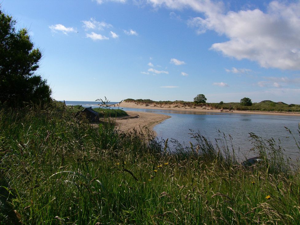 A river and sandy bank with grass and trees at Percy Cottages No4 in Alnmouth