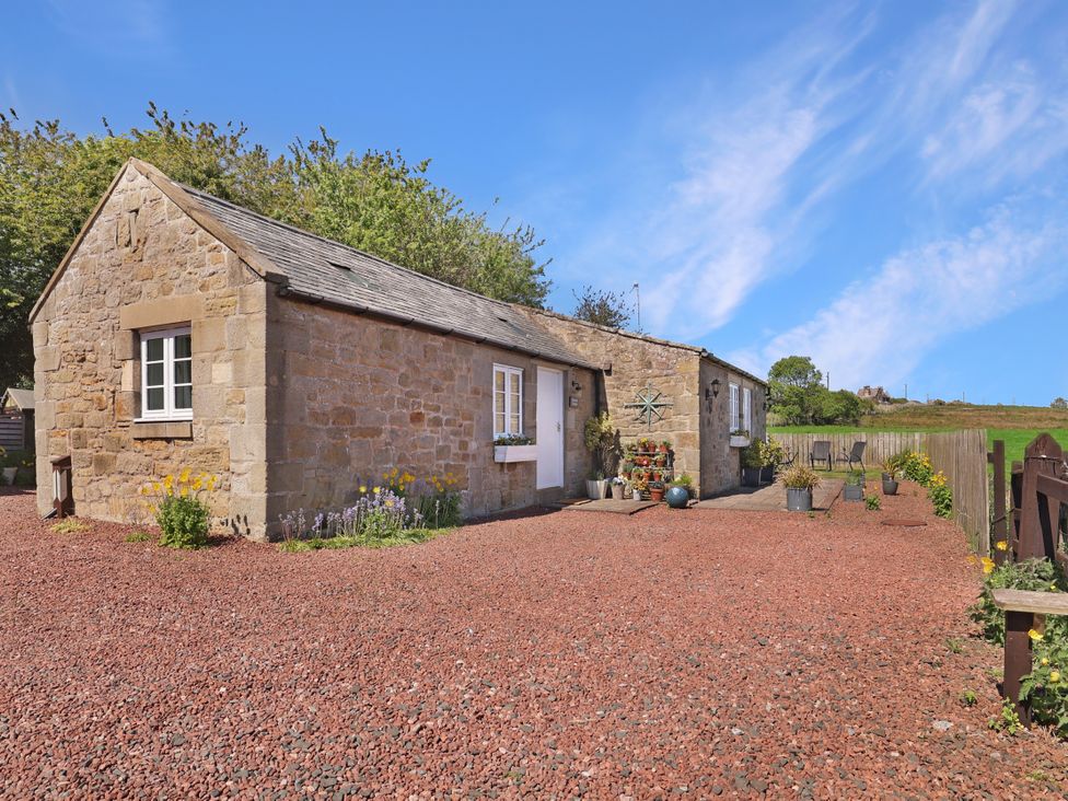 A cottage with a patio and plants at Plumtree Cottage in Alnmouth
