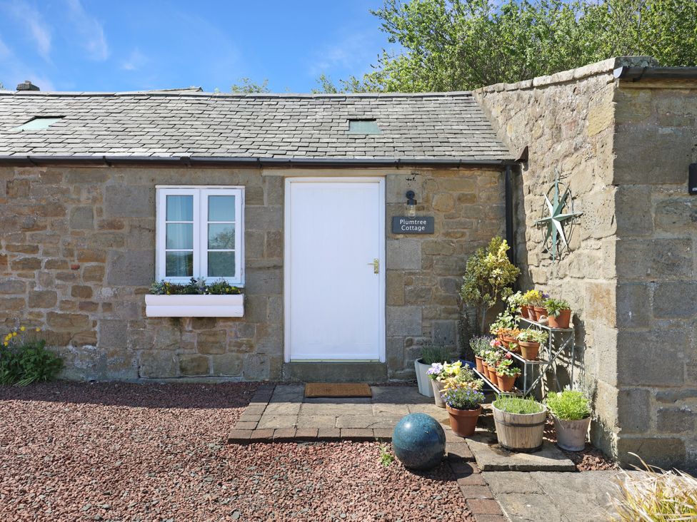 An entrance with a door and flower pots at Plumtree Cottage in Alnmouth