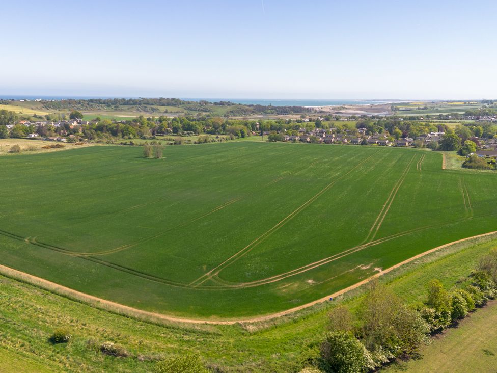 A field with houses and trees near the ocean at Plumtree Cottage Alnmouth