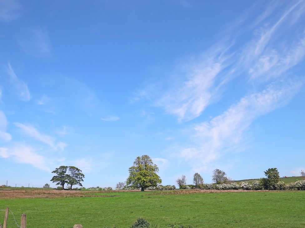 A field with trees and a blue sky at Plumtree Cottage in Alnmouth
