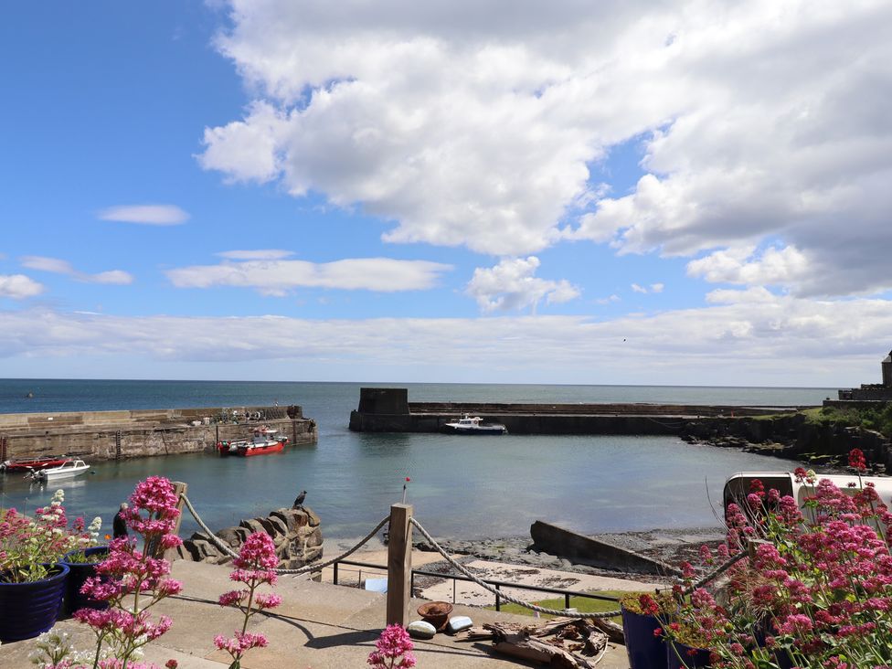 A harbor with boats and flowers at Marie's Cottage in Craster