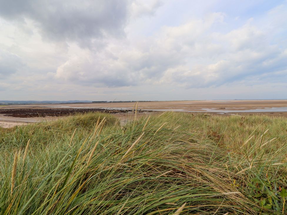 A view of grass and sand with water at Heather Cottages - Grey Seal in Bamburgh