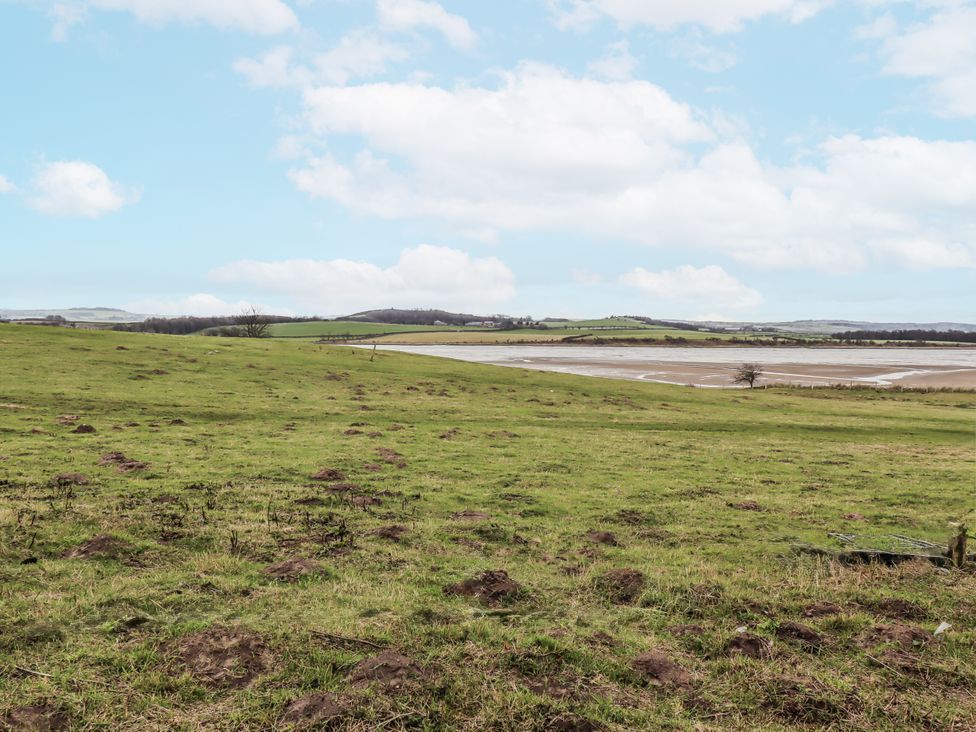A landscape view of grass and trees at Kittiwake Cottage, Budle Bay Bamburgh