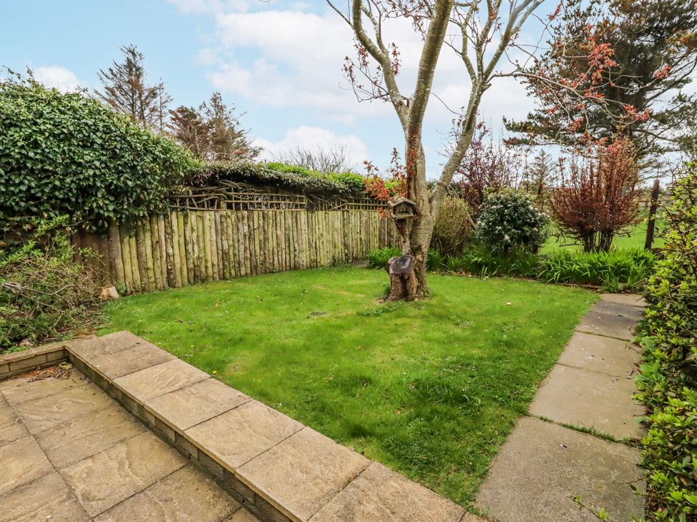 A garden with a tree and grass at St Marys Cottages No4 Low Newton-by-the-Sea
