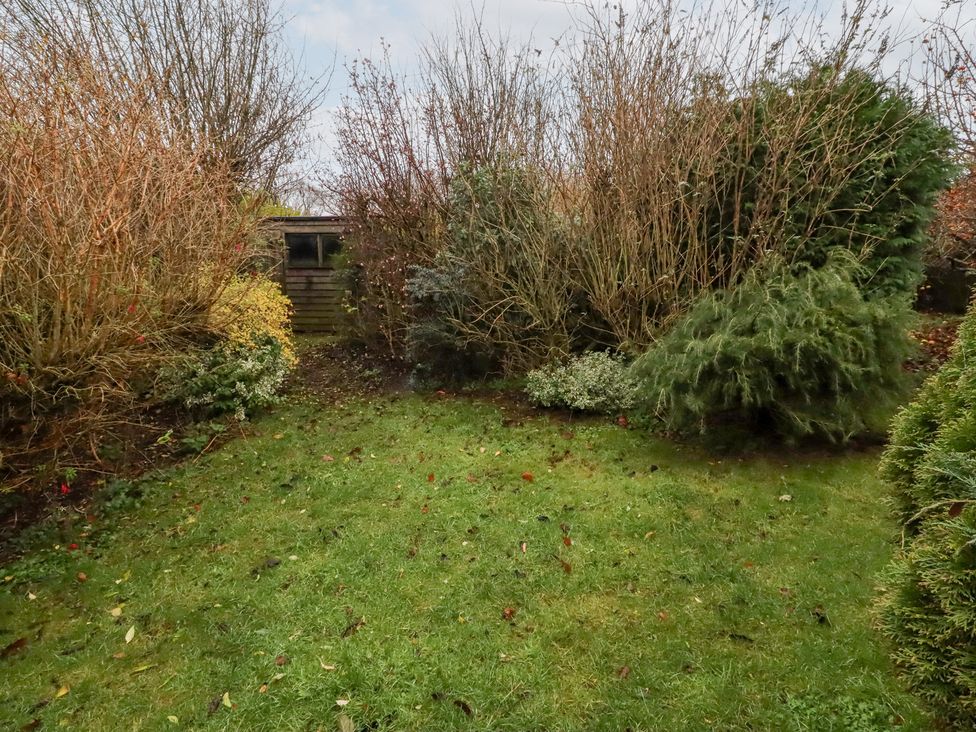 A garden with grass and shrubs at Wayside Cottage in Newton-by-the-Sea