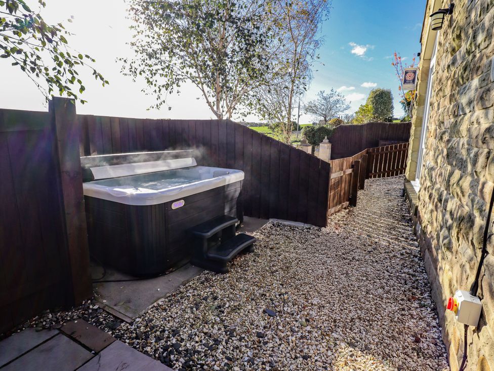 Red Fox - Northumberland - 1122260 - thumbnail photo 2