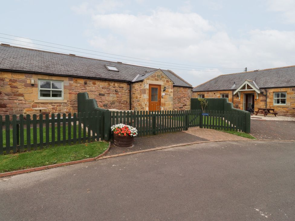 Chiff Chaff - Northumberland - 1122275 - thumbnail photo 22