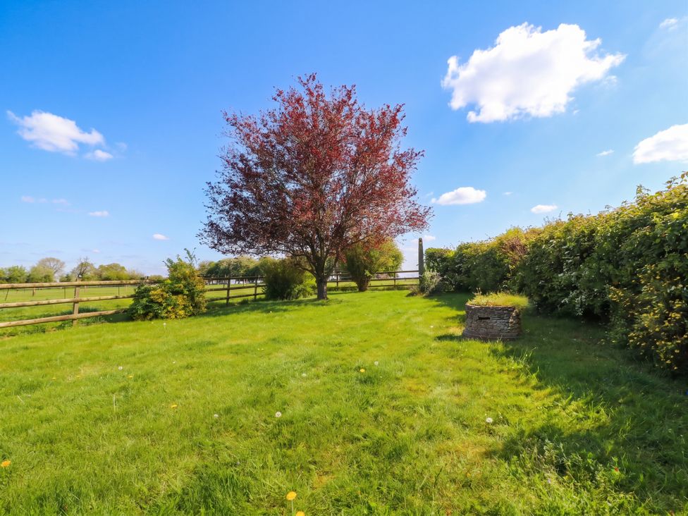 An outdoor garden with a tree and grass at Palace Farmhouse in St Weonards