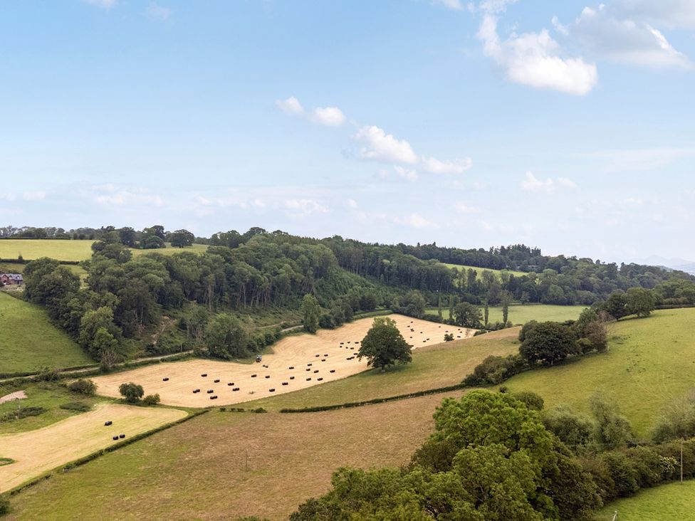 A field with bales of hay and cows at Bwncath in Garthmyl