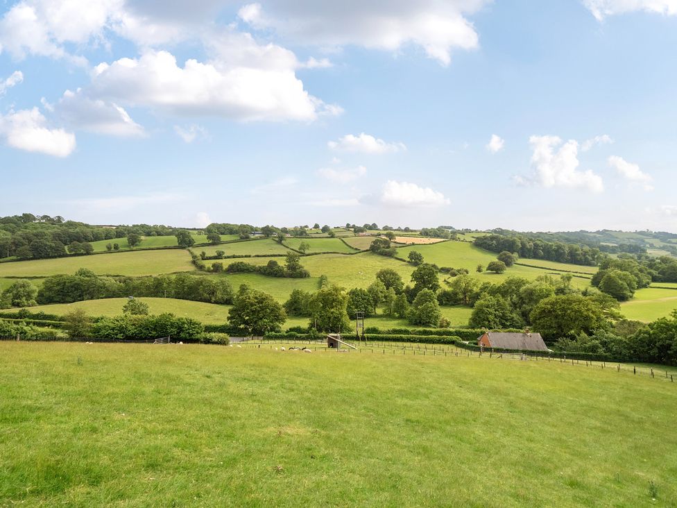 A landscape with fields and trees at Bwncath in Garthmyl