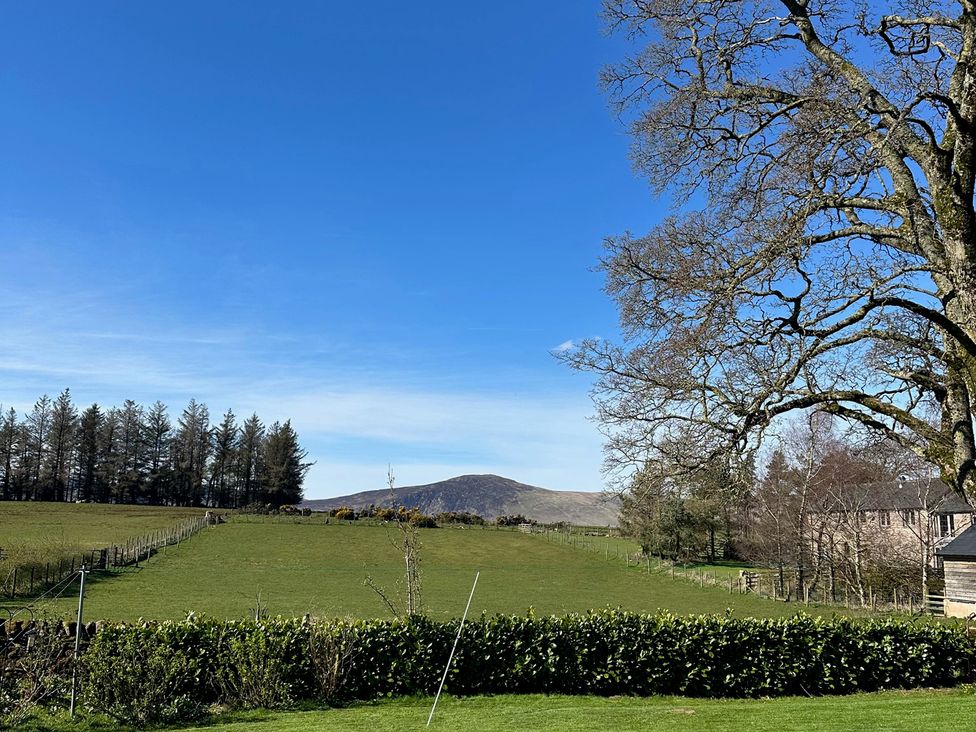 A landscape view with trees and a hill at How Hill Farm Cottage in Greystoke