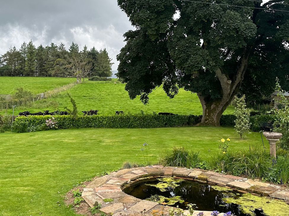 A garden with a pond and cows in a field at How Hill Farm Cottage in Greystoke