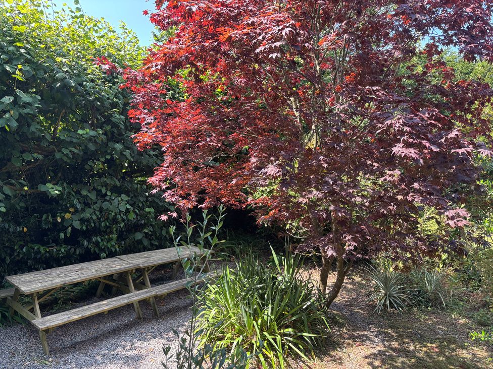 A garden with a table and a red tree at Aaron's Cottage St Teath