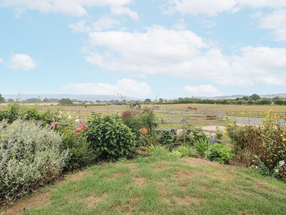A garden view with flowers and a horse in the field at Stable Cottage Norbury near Bishop's Castle