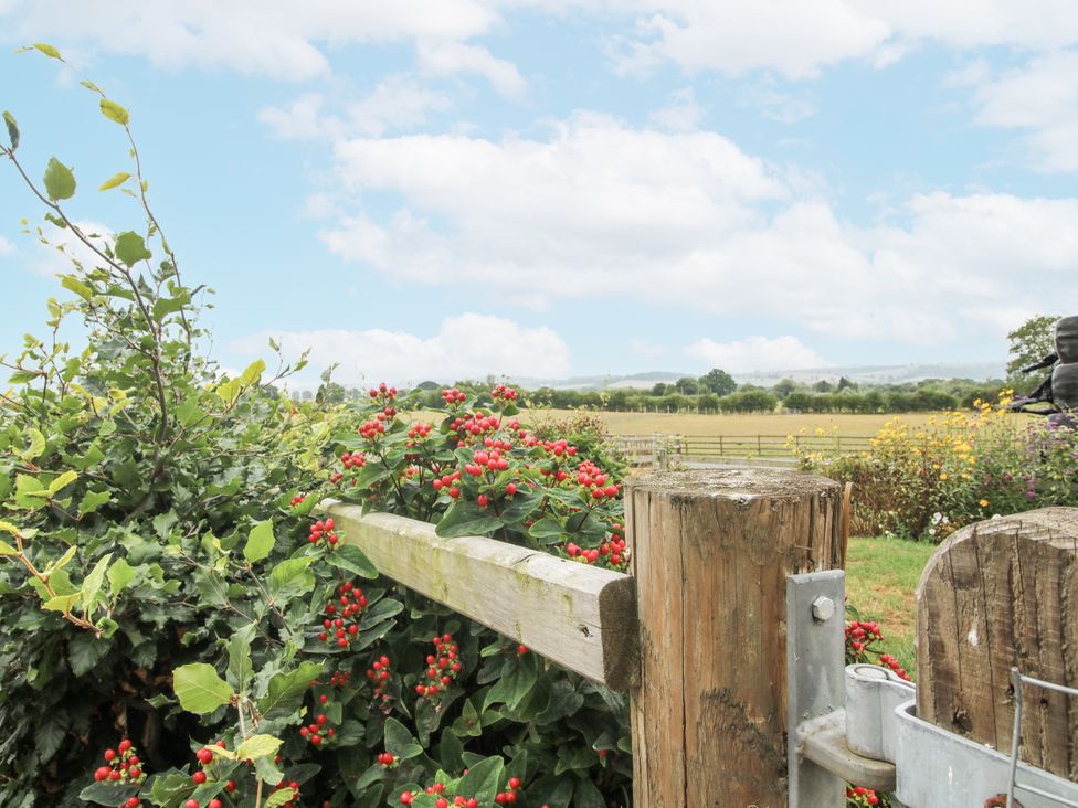 A gate leading to a field at Stable Cottage in Norbury near Bishop's Castle