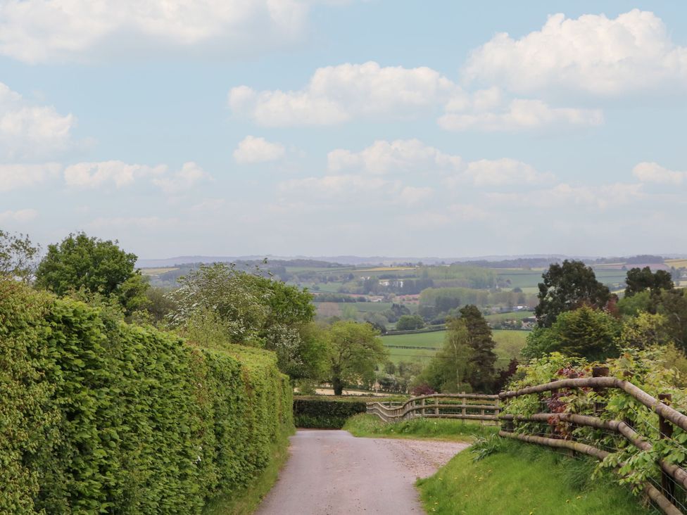 A road leading through greenery at Palace Studio in St Weonards