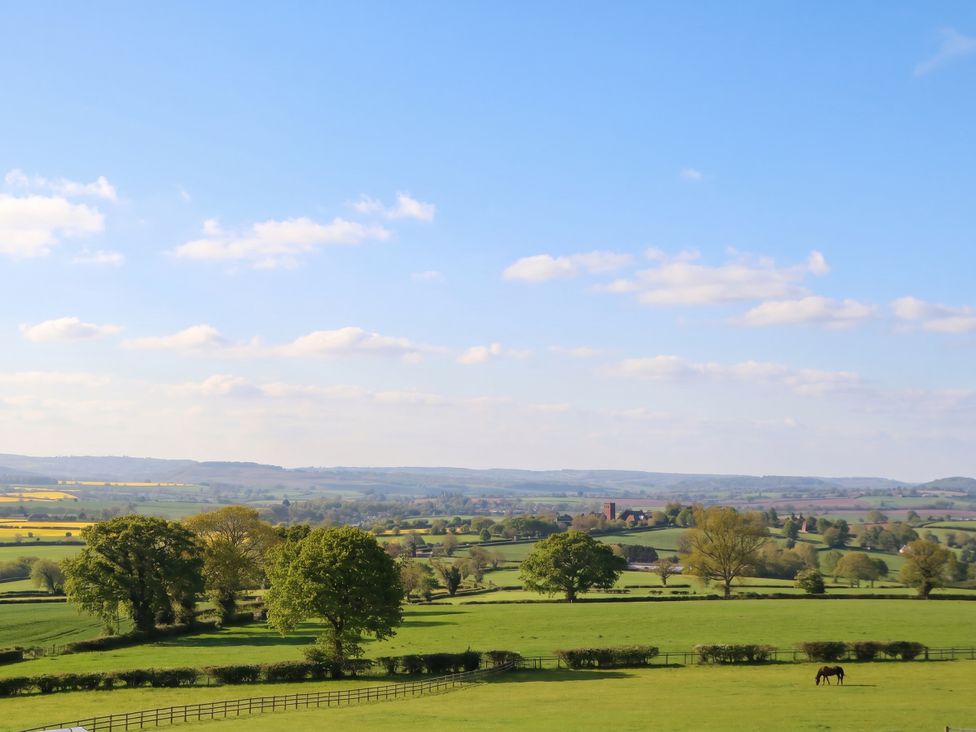 A landscape view with trees and a horse in a field at Palace Studio in St Weonards