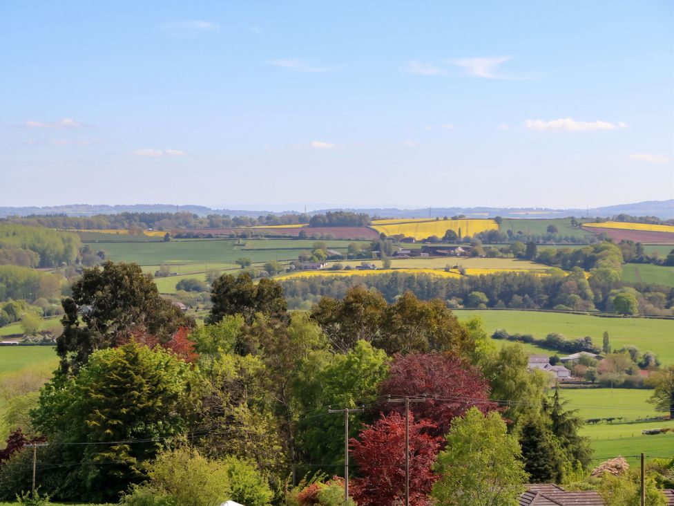A view of rolling fields and trees at Palace Studio in St Weonards
