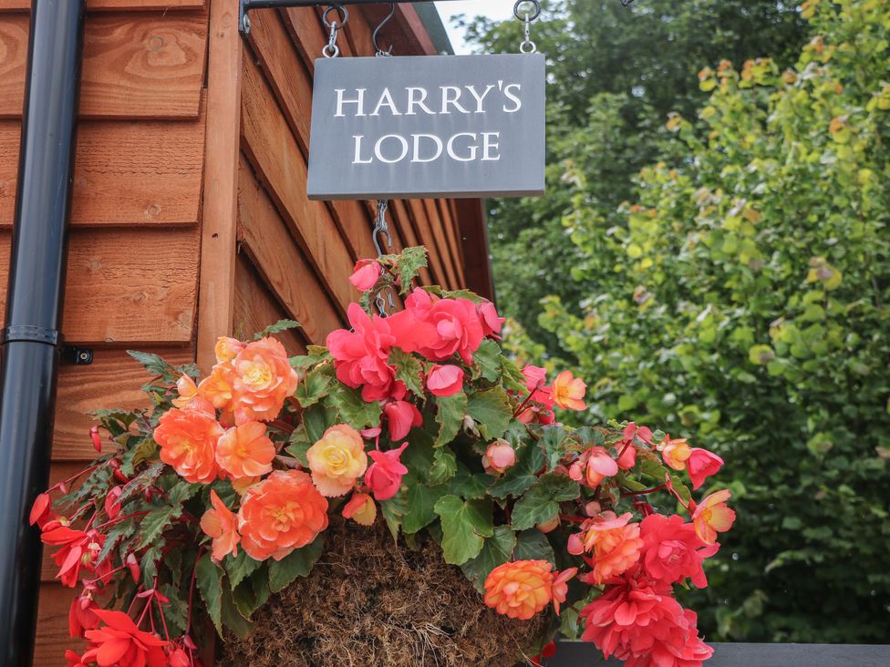 Harry's Lodge - Peak District - 1123841 - thumbnail photo 4