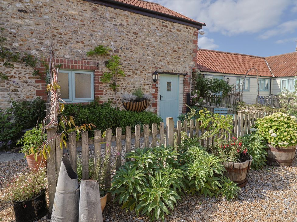 A garden area with plants and a stone wall at The Calf Pen in Colyton