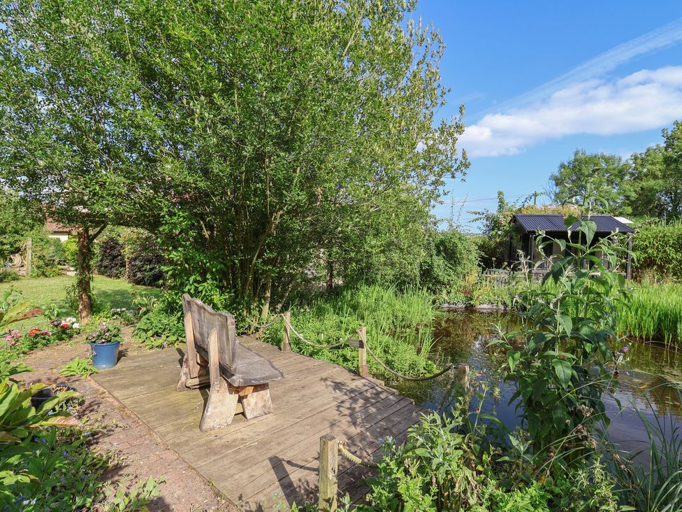 A garden with a wooden bench by a pond at The Calf Pen in Colyton
