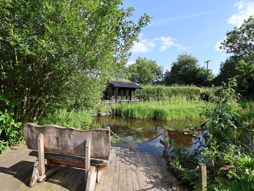 An outdoor area with a bench overlooking a pond at The Bull Pen in Colyton