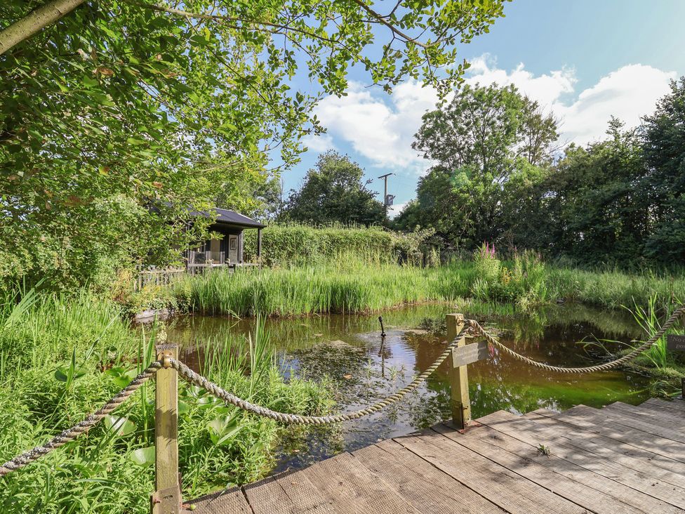 An outdoor area with a pond surrounded by grass and trees at The Bull Pen in Colyton