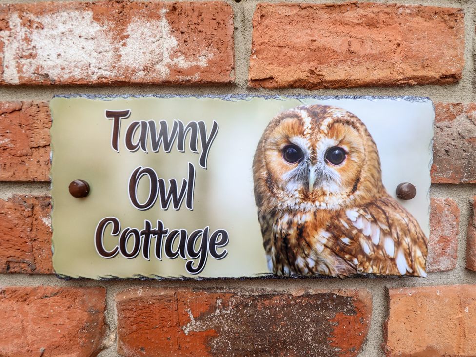 Tawny Owl Cottage - Lincolnshire - 1123977 - thumbnail photo 2