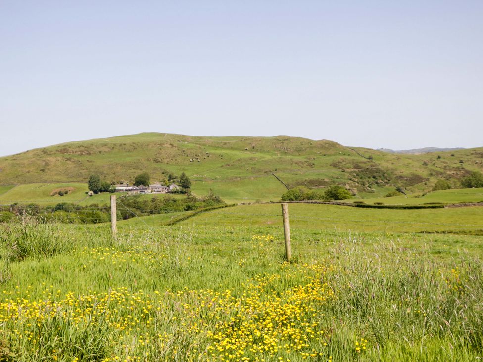 A landscape with grass, flowers, a fence, and a house on a hill at Willow in Ulverston