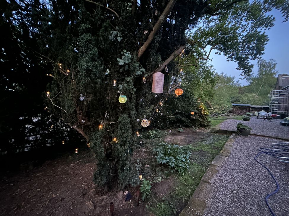 A garden with a tree decorated with hanging lights and lanterns next to a gravel path at Talbot Lodge in Ingestre near Great Haywood