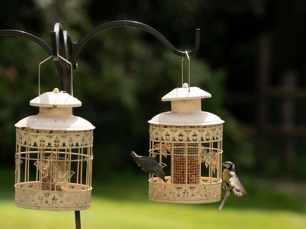 Two bird feeders with birds in a garden at Primrose Spinney Highwood near Ringwood