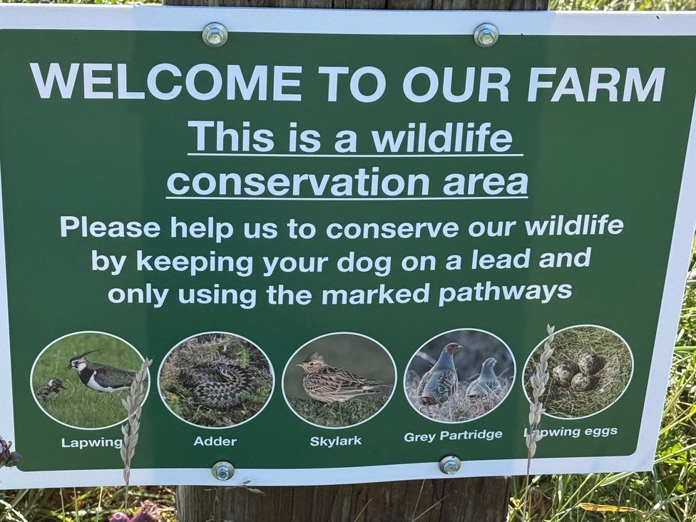 A sign for a wildlife conservation area with various wildlife illustrations at Lonnon Cottage in Alnmouth
