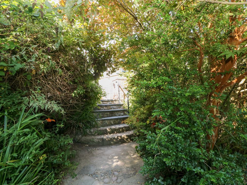 A garden pathway leading to steps at Cornerstones Brython in Tenby