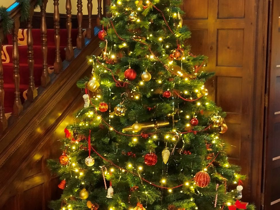 A Christmas tree decorated with ornaments and lights at Highcliffe Manor in Flamborough