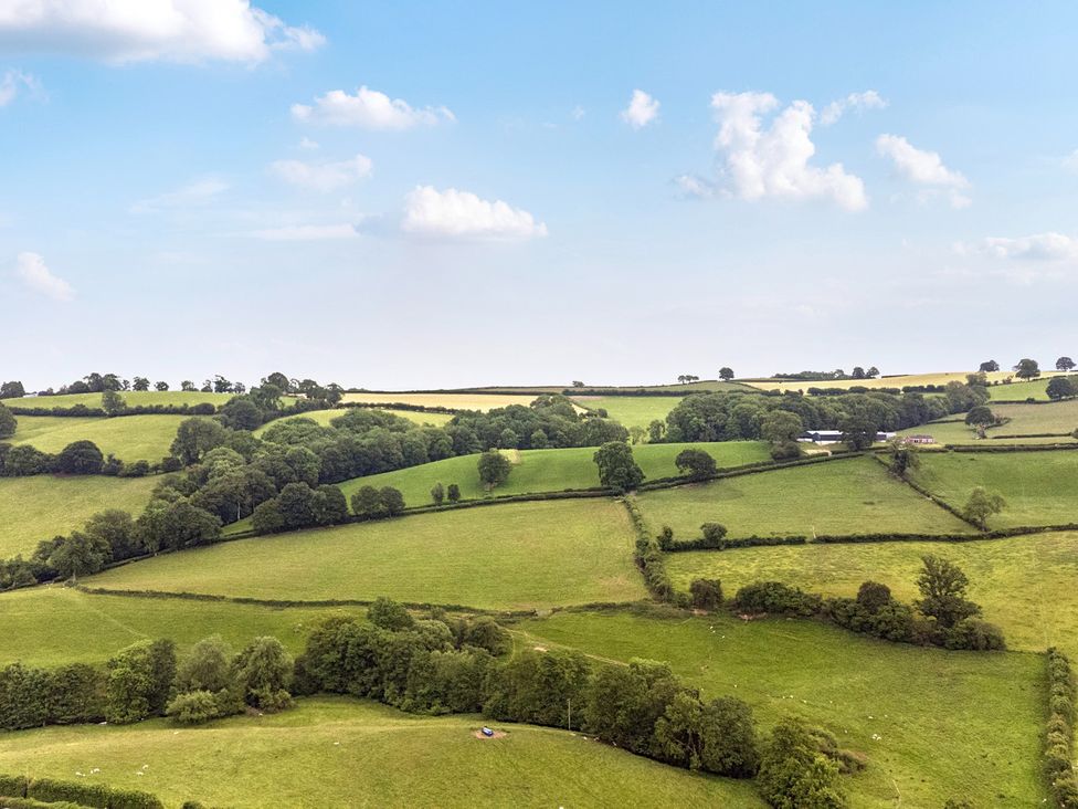 A view of green fields and trees at Barcud Coch - Red Kite in Garthmyl