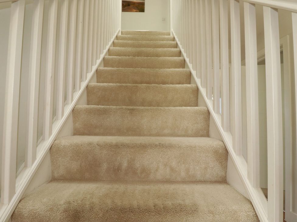 Stairs with carpet and railing at Lavender House in Crantock
