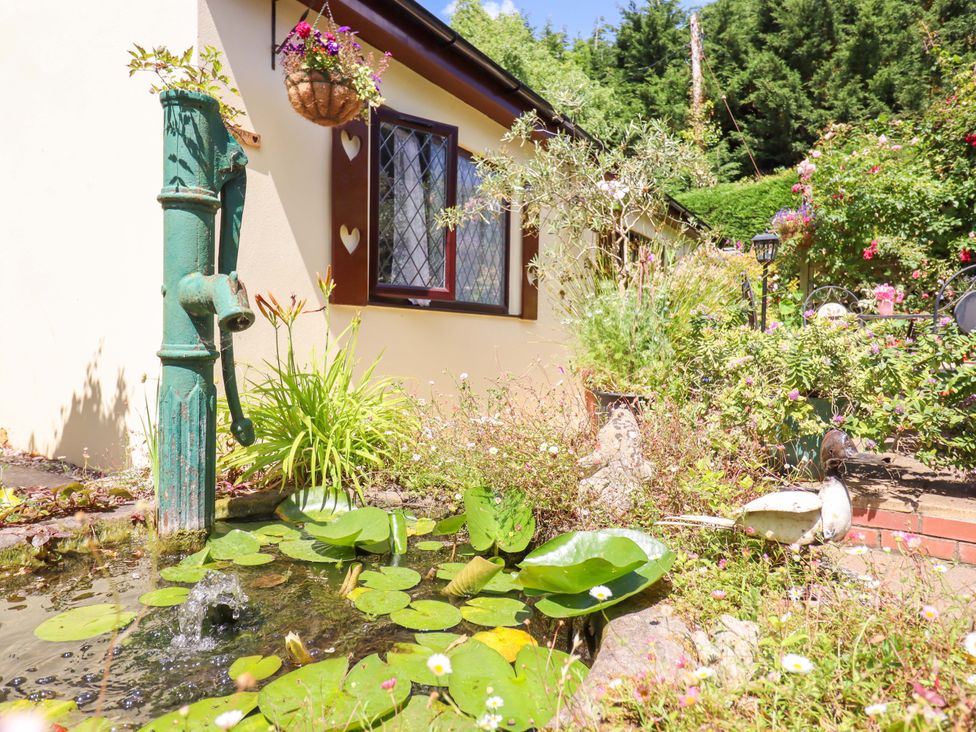 Turnpike Lodge - Devon - 1125845 - thumbnail photo 20