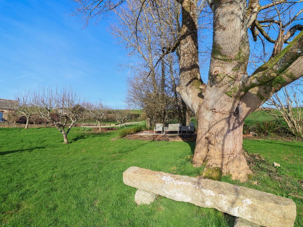 A garden with a tree and bench at Birchenhayes St Dominick
