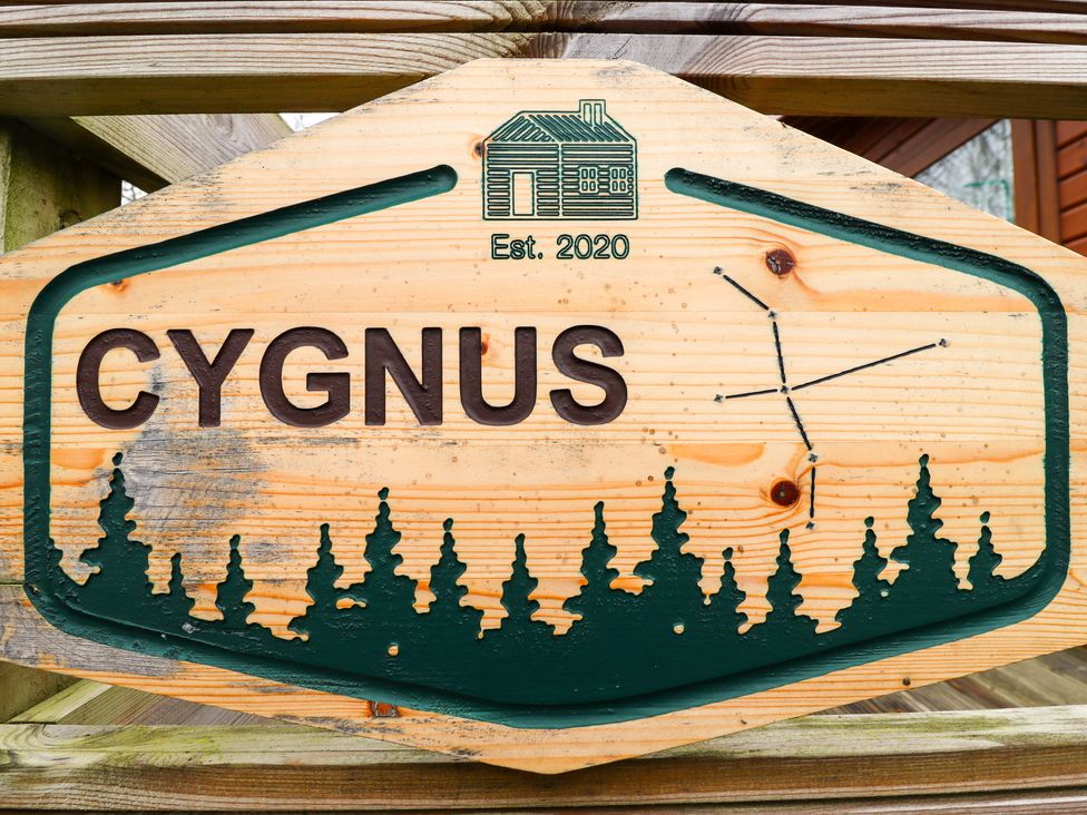 Cygnus - Northumberland - 1126127 - thumbnail photo 3