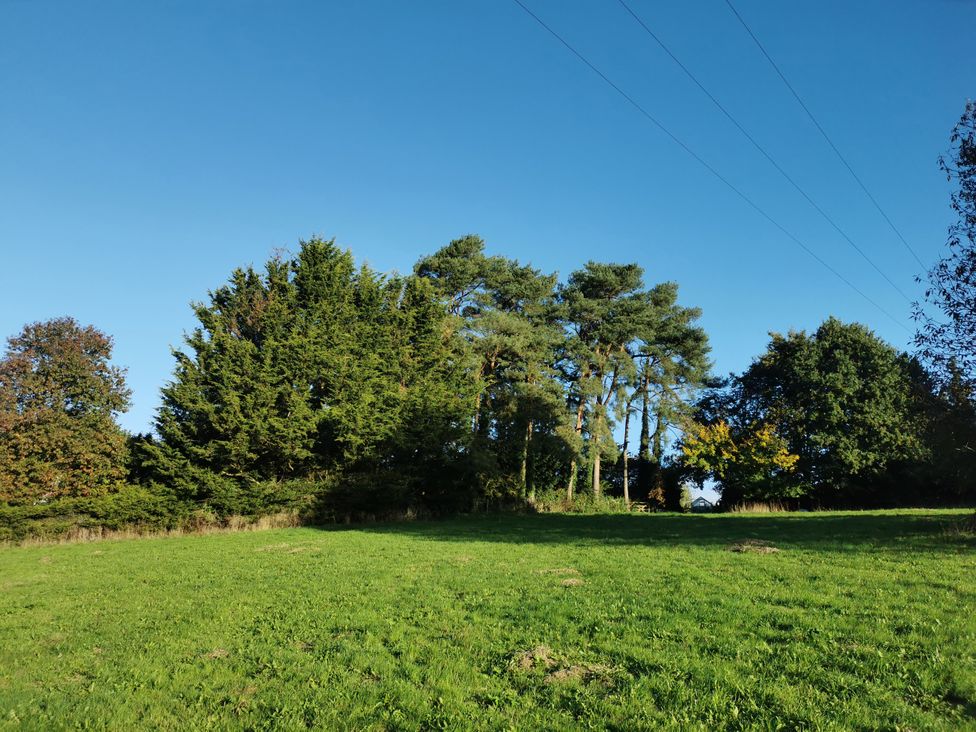 A field with trees and power lines at Narracott Down in South Molton