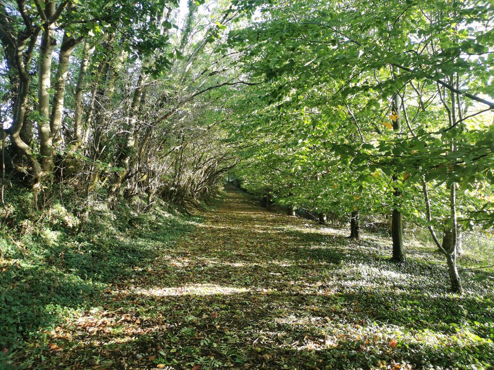 Narracott Down - Devon - 1126499 - thumbnail photo 50