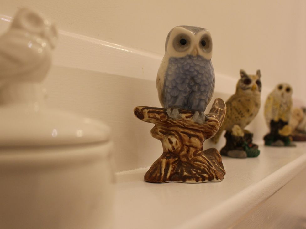 A shelf with owl figurines and a small container at Narracott Down South Molton